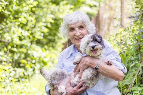 Ensure that the dog is not put on aspirins since it will cause stomach ulcers. Top 7 reasons why Mutts are Awesome! - HomeoPet