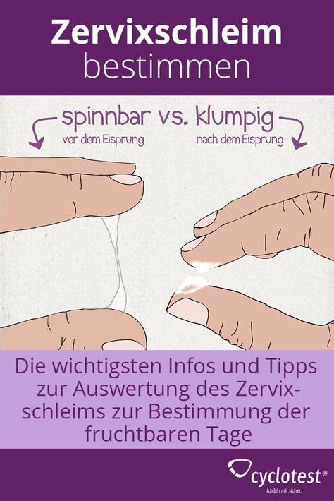 Jede frau sollte ihren zyklus kennen. ᐅ Zervixschleim: Auswerten und Fruchtbarkeit bestimmen ...