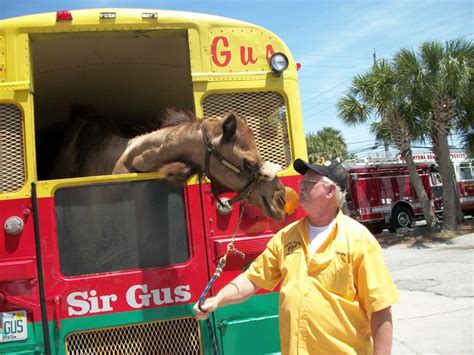 Solemn because irrevocable is the reality of the lesson taught by the scythe of time, which cuts the brittle thread of life and launches us into eternity. gus the camel,the shriners camel. - Southern Airboat ...