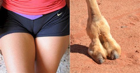 Camel toe plagues women who wear yoga pants, snug jeans, or chic shorts, and it renders clothes unwearable. Fake Camel Toe Underwear is the Latest Trend in Fashion