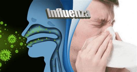 Influenza, one of the most common infectious diseases, is a highly contagious airborne disease that influenza a and b vaccine is administered each year before flu season. Influenza A Simptom Tanda Dan Cara Pencegahan/ Rawatan