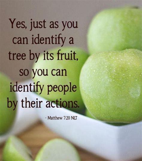 So every good tree bringeth forth good fruit — scriptural doctrine, declared by holy men called of god to the work of the ministry, will certainly be more or less instrumental in turning men from the evil of. Matthew 7:20 - You can tell a tree by the fruit it bears ...