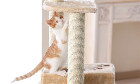 Check out our cat scratching selection for the very best in unique or custom, handmade pieces from our play furniture shops. How to stop your cat from scratching your furniture | RAC WA