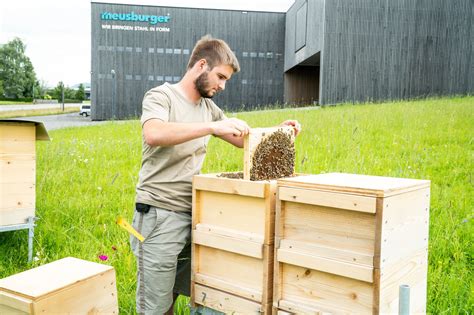 Sieh dir an, was meusburger fliesen & ofenbau (meusburgerfliesen) auf pinterest, der weltweit größten sammlung von ideen, entdeckt hat. Creating a habitat for bees | Meusburger