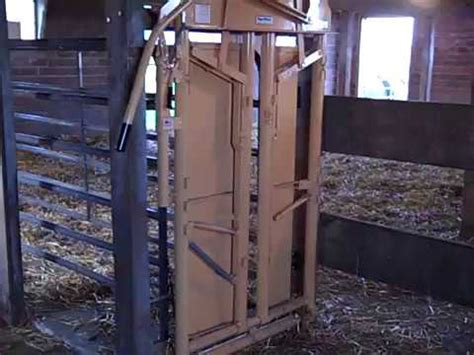 Most recent weekly top monthly top most viewed top rated longest shortest. Simple Headgate and Chute Set-Up for Hobby Farm - YouTube