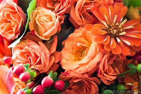 Check spelling or type a new query. Burnt orange. (With images) | Burnt orange, Flowers, Orange