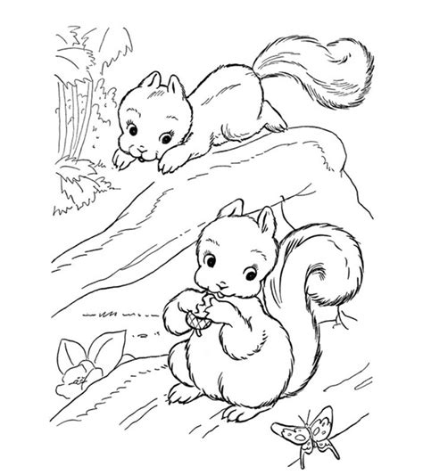 Reading a story, tracing names, counting pictures up to 10 and coloring pictures in the story book. Top 25 Free Printable Squirrel Coloring Pages Online