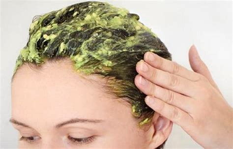 Honey and olive oil work together to seal in the nourishment and moisture imparted by the yogurt and avocado in this hair mask. DIY Hair Mask: Olive Oil and Avocado Hair Mask for Dry Hair