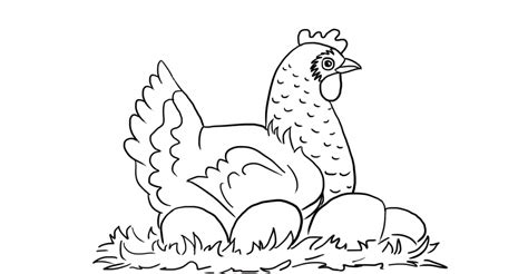 Here's a fun barn coloring page featuring a trio of adorable farm animals! Chicken with Eggs Coloring Page - Learn About Nature