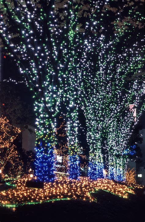 Find images of christmas trees. Photo of christmas tree street lights | Free christmas images