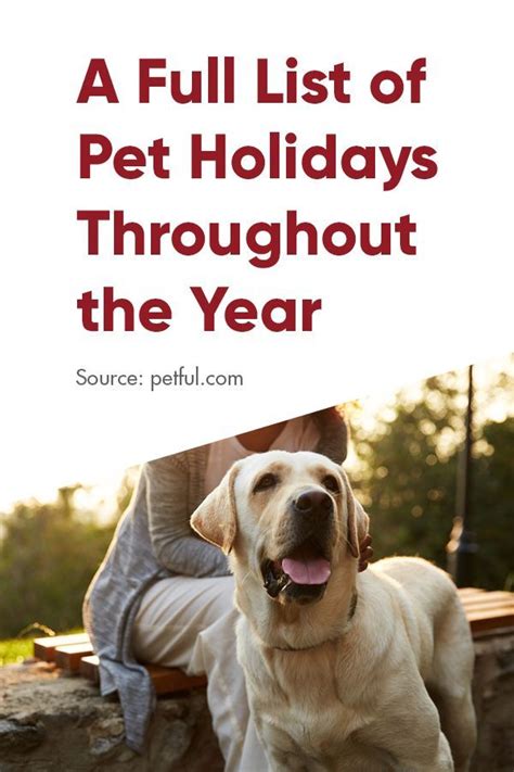 Find a complete list of national, international, & world pet holidays & celebrations dates here at what is my spirit animal! A Full List of Pet Holidays Throughout the Year in 2020 ...