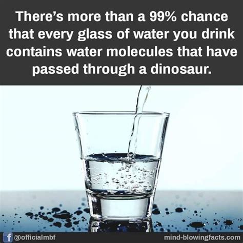 924,300 likes · 676 talking about this. Pin by Kylie McCann on did you know? | Drinking water, Water molecule, Glass