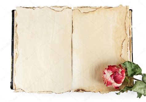 Check spelling or type a new query. Nowadays 4 Rose Corespi Libro Contestado - Up to Date 2 ...