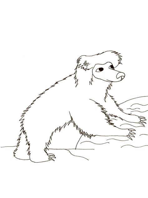 Sloths live in the rainforests of central and south america. Sloth Bear coloring page - Animals Town - animals color ...