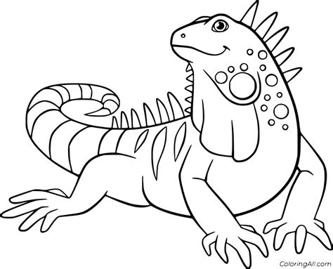 Music by brian amador, on live oak media to order your copy. Pin on Reptile Coloring Pages