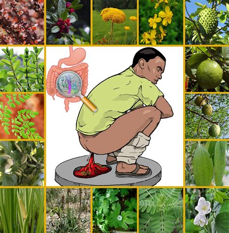Geographic information systems (gis) have not been used in any studies on the medicinal plants in peninsular malaysia, although the use of gis for conserving medicinal and herbal plants elsewhere has been. Studie: Weltweit gut 28.000 Pflanzenarten mit Heilkraft