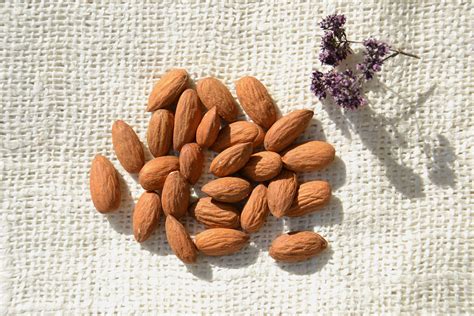 Aug 21, 2020 · john spacey, august 21, 2020. 10 Health Benefits of Almond Oil | La Tourangelle