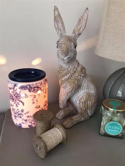 The eleventh day of christmas projects 2010. Pin on Scentsy warmers