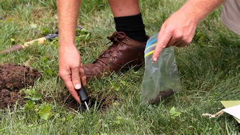 When you prepare a dinner for your family you try to include all the nutrients they need to stay healthy. How to Take a Soil Test | Lawn & Garden Care - YouTube