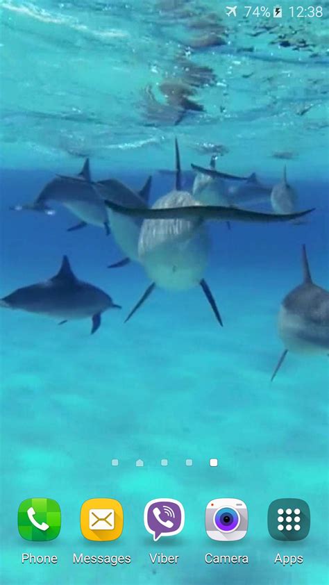 How to add sound to a live wallpaper. Dolphins +Sound Live Wallpaper for Android - APK Download