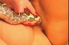snake sexy python games paddled nasty enjoying sluts looking zoo videos zootube1