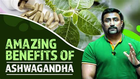 It can also be paired with a small snack if you are concerned about discomfort on an empty stomach. AMAZING BENEFITS OF ASHWAGANDHA BASED ON RESEARCH - YouTube