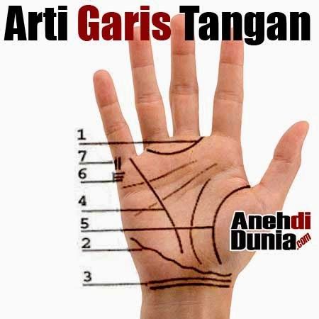 22 major arcana dan 56 minor arcana. Mesti Baca!!! Ini Cara Membaca Garis Tangan, keuangan ...