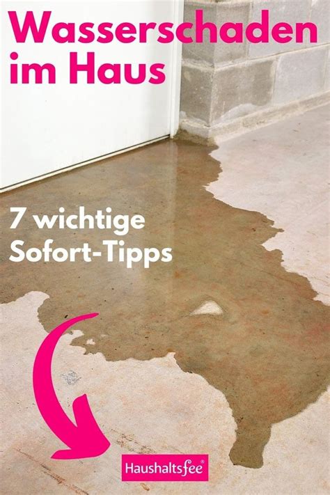 Wie kann ich flöhen bei meiner katze vorbeugen? Was tun bei Wasserschaden im Haus? 7 wichtige Sofort-Tipps ...