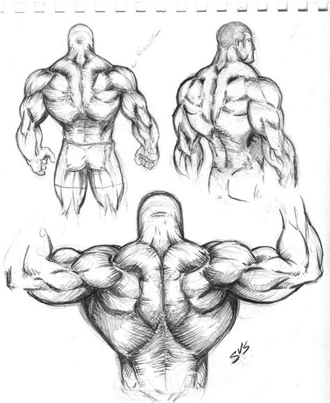 Check spelling or type a new query. Muscular Back Study 01 by spacehater.deviantart.com on ...