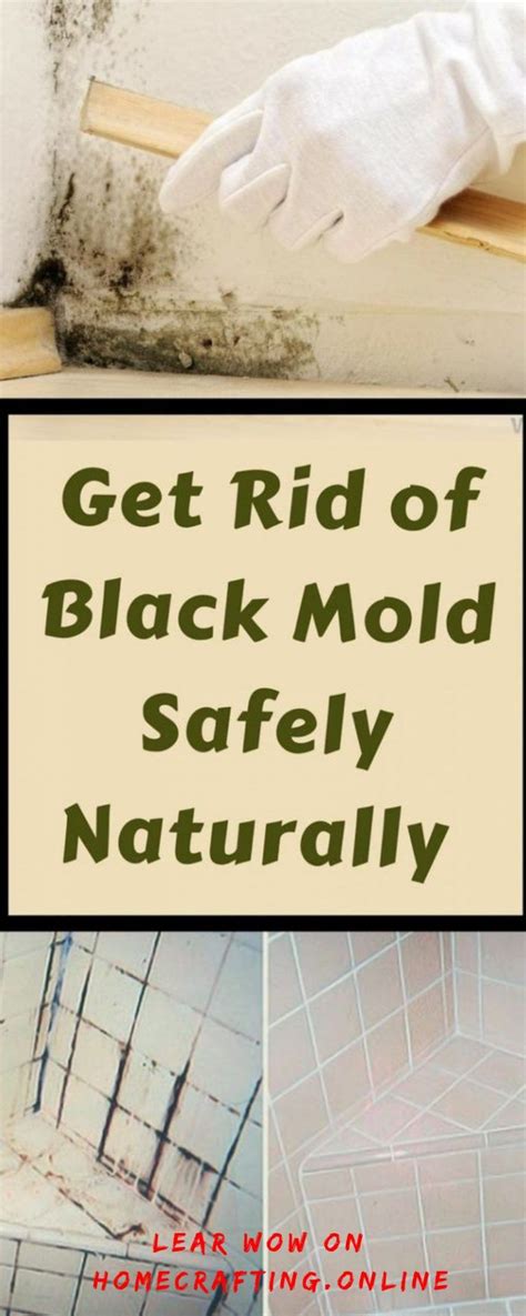 No matter how much effort you put into keeping your house squeaky clean, certain things are beyond your control. Get Rid of Black Mold Safely Naturally !!! | Remove black ...