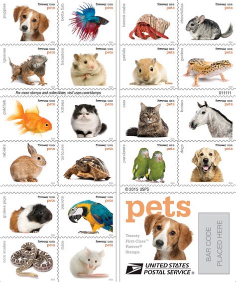 All about pets | provo veterinarian in utah county provo. United States Postal Service Releasing Pet Stamps - Geekologie