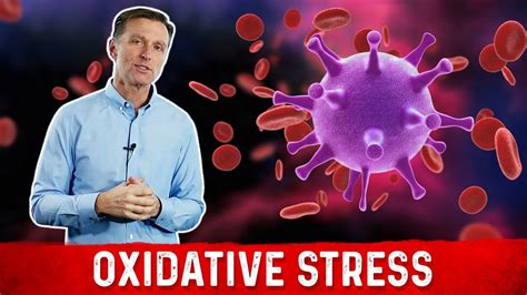 7 mistakes that can weaken your immune system (and how to fix them). Oxidative Stress, Immune System and Viral Infection - YouTube