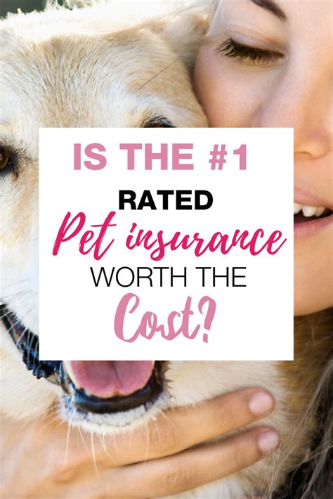 Find the best pet health insuance plan at a reasonable cost! Healthy Paws Insurance Phone Number - Wayang Pets