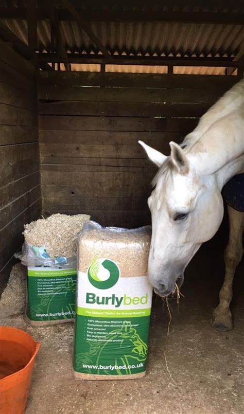 Financial performance, director details, business contact information, and more… Burlybed - Miscanthus horse bedding - Leader - Atlantic ...