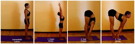 Surya namaskara a is a foundational vinyasa common to many forms of yoga, often performed at or near the beginning of yoga practice and/or typically to start the day. Conciencia Yoga: Surya Namaskara A