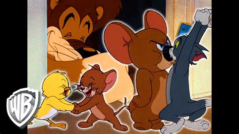 But will there be a surprise win?! Tom & Jerry em Português | Brasil | Super equipe de Jerry ...