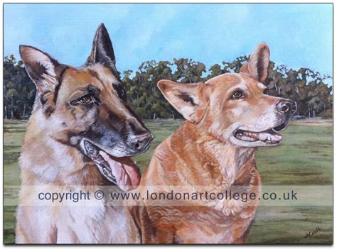 Pet portraits by rosie coyne. Pet Portraits Course Student Gallery | London Art College