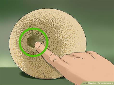 See full list on gardeningknowhow.com 3 Ways to Choose a Melon - wikiHow
