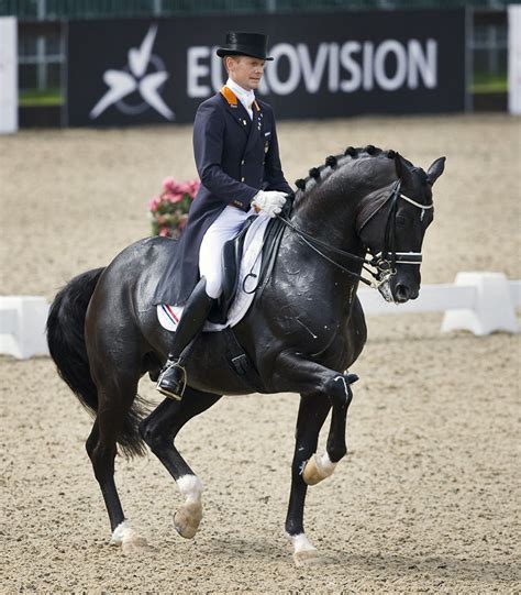 Edward gal en moorland's totilas clinic nic zuidlaren deel 2. オランダ、 男子馬場馬術代表 : ロンドン五輪でゲイ、レズビアンをカミングアウトした選手達 +α - NAVER まとめ