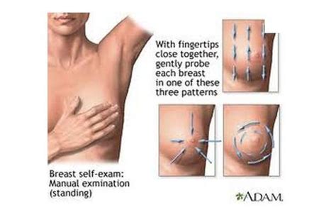 Similar searches to massage penis. Breast Self -examination Techniques
