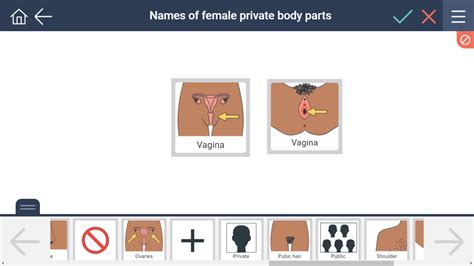 It can be purchased here: Names of female private body parts | SECCA