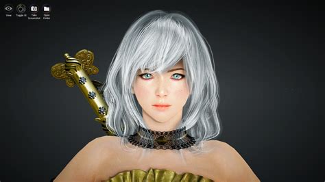 Black desert online lance un programme de partenariat. Tamer Black Desert Poster / Korean Beauty Tamer Bdotemplates Com - At level 20 you are able to ...