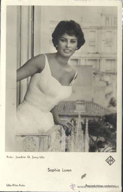 Sign up for free now and never miss the top royal stories again. sophia loren- foto : joachim g. jung/ufa - Comprar Fotos y ...