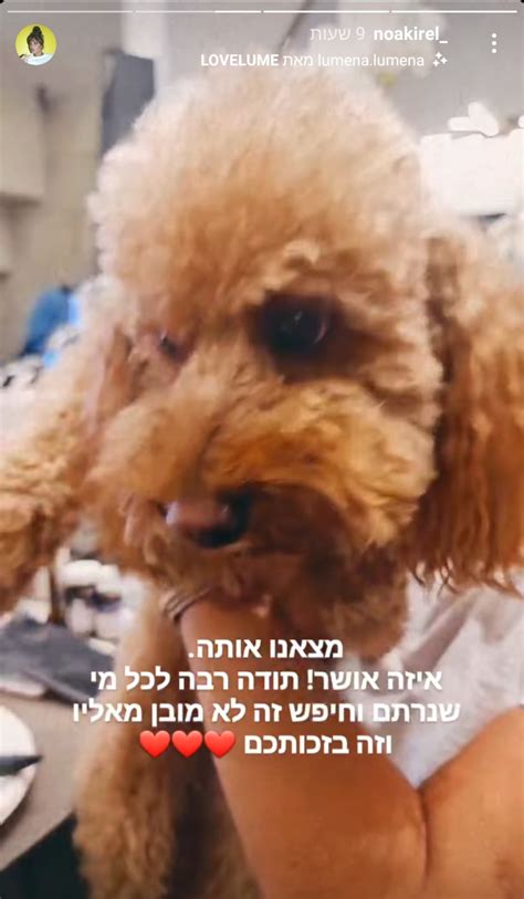 רק בשנה האחרונה שחרר אור עמרמי ברוקמן את השיר המדובר שהפך ללהיט אהוב במיוחד. נועה קירל איבדה והרשת סערה | TMI