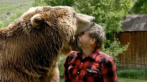 One scientist who studied bears rubbing their backs in the woods says that by marking trees, male bears get to. Wrestling A Grizzly Bear In My Garden - YouTube