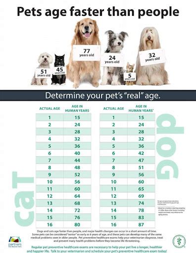 Growth charts also help you find the answer to the question of when do cats stop growing with reference to your own kitty. Stella's Cat-Log - Pet age chart - Companion Veterinary ...