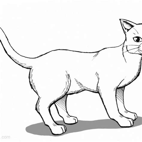 Polish your personal project or design with these warrior cats transparent png images, make it even more personalized and more attractive. Warrior Cats Coloring Pages Black and White - Free ...