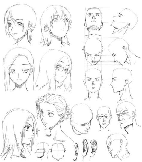 Learn how to draw anime heads at different angles pictures using these outlines or print just for coloring. #anatomytutorial #anatomy #tutorial #angles | Drawings, Manga drawing, Anime drawings