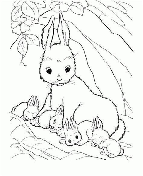 Check spelling or type a new query. Get This Free Simple Rabbit Coloring Pages for Children ...