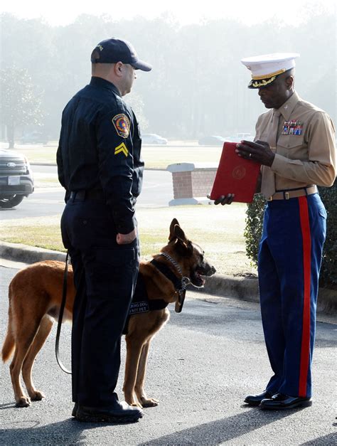 During a search, the dog handler must perform all the tasks necessary to ensure that the search for the subject is carried out efficiently and thoroughly. Military working dog becomes former handler's family pet ...